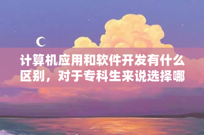 計(jì)算機(jī)軟件開(kāi)發(fā)與應(yīng)用 ?？粕穆殬I(yè)選擇與發(fā)展前景分析